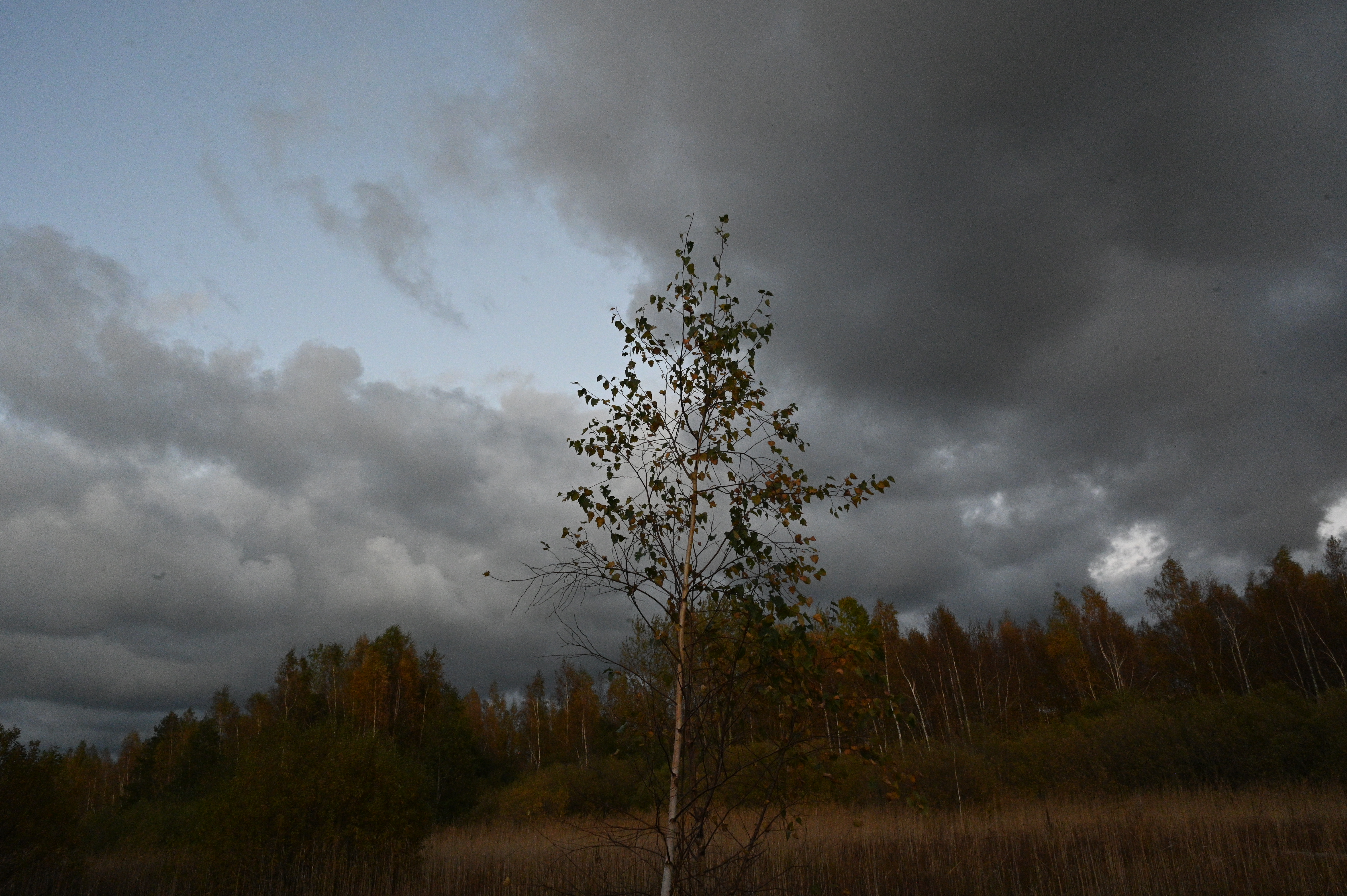 2025/10/18 - walk/DSC_0531.JPG